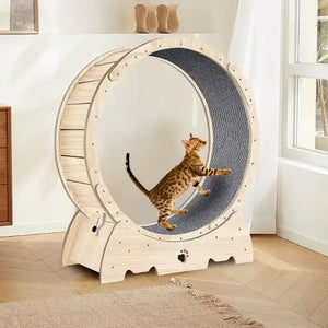 Pet Toys
