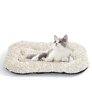 Pet Supplies