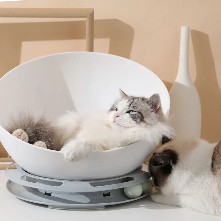 Single-Layer Round Mochi Cat Bed and Pet Lounge