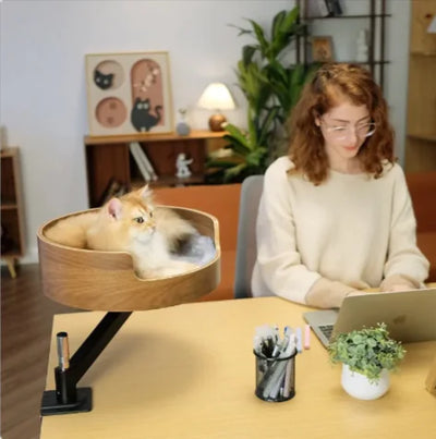 Desktop Cat Nest with Rotating Bracket
