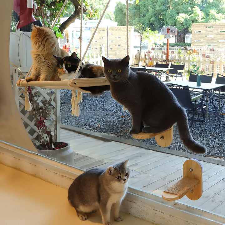 Famifit 29 Large Cat Window Perch with 2 Steps Easy to Assemble Cat Hammock for Window Indoor/Outdoor Cat Seat/Bed Universal for Big Cats and Kittens(40 Lbs) 1 Pack with 2 Cat Steps