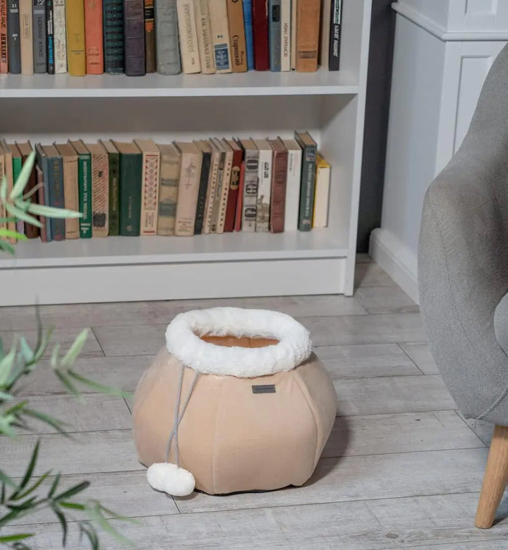 Cat Bed for Indoor Cats Large Kitten House Cat Cave Removable Washable Pillow