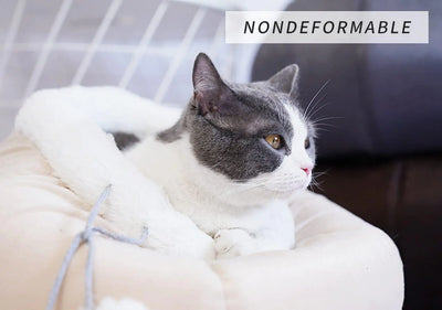 Cat Bed for Indoor Cats Large Kitten House Cat Cave Removable Washable Pillow