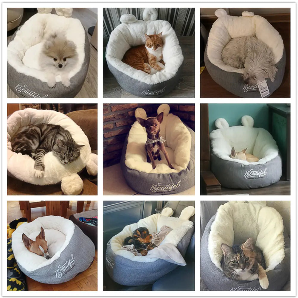 Universal Summer Cat Bed for Ragdoll and Kittens