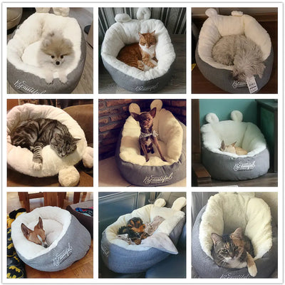 Universal Summer Cat Bed for Ragdoll and Kittens