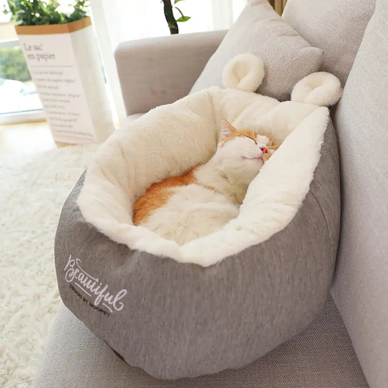 Universal Summer Cat Bed for Ragdoll and Kittens