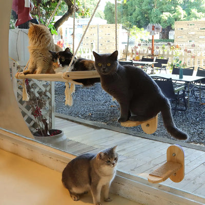 Famifit 29 Large Cat Window Perch with 2 Steps Easy to Assemble Cat Hammock for Window Indoor/Outdoor Cat Seat/Bed Universal for Big Cats and Kittens(40 Lbs) 1 Pack with 2 Cat Steps