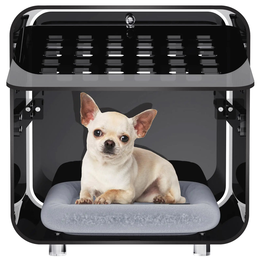 Acrylicolor Acrylic Small Pet Crate with Mat Pet Bed Small Crate Cage for Animal Dog Cat Plush Bed (Black)