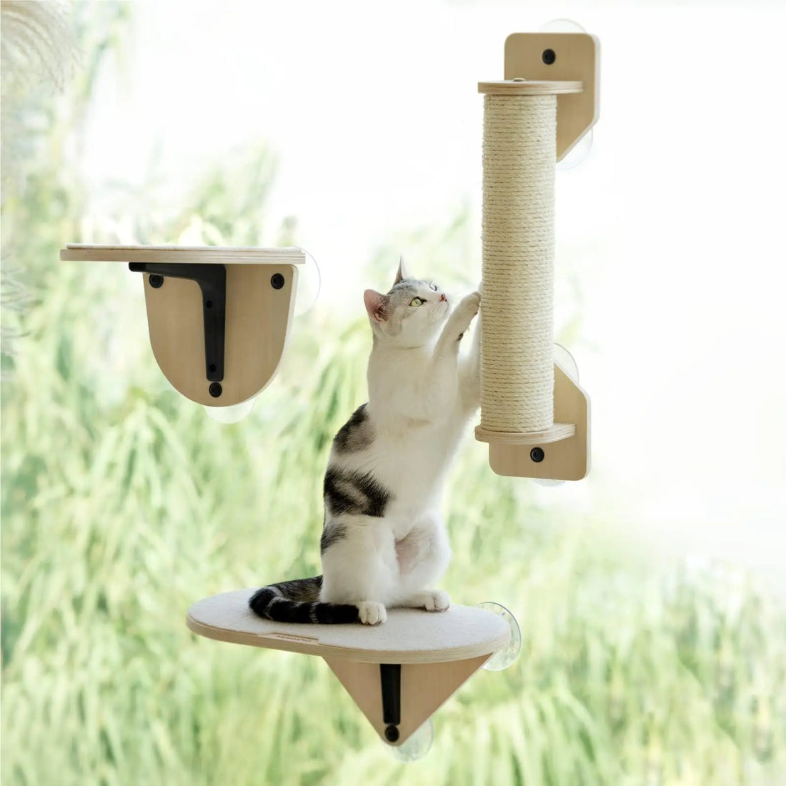 MEWOOFUN Cat Window Perch Hammock with Climbing Steps and Scratching Post Wooden Window Mounted Cat Bed for Indoor Cats (3 Pcs Cat Climber Set)